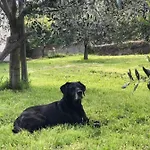 Bed and Breakfast Ca Du 5 Tovo San Giacomo