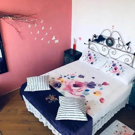 Ca Du 5 토보산지아코모