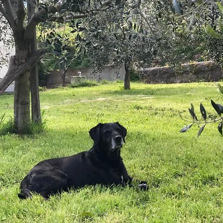 Frühstückspension Ca Du 5 Tovo San Giacomo
