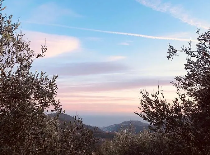 Ca Du 5 3*